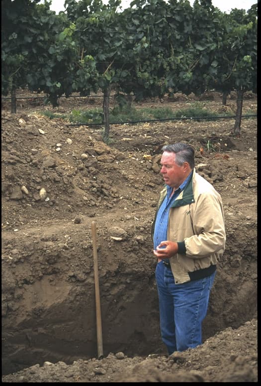 Rain Catcher Vineyard