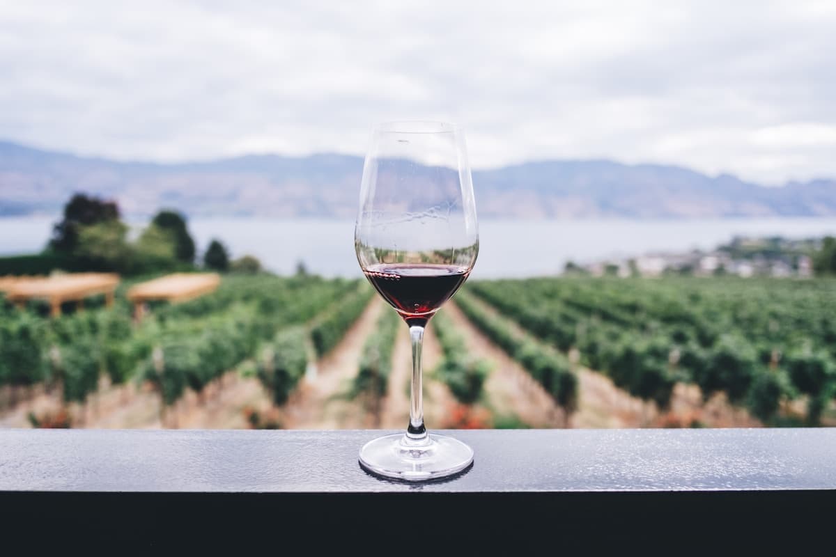 Living Vineyards