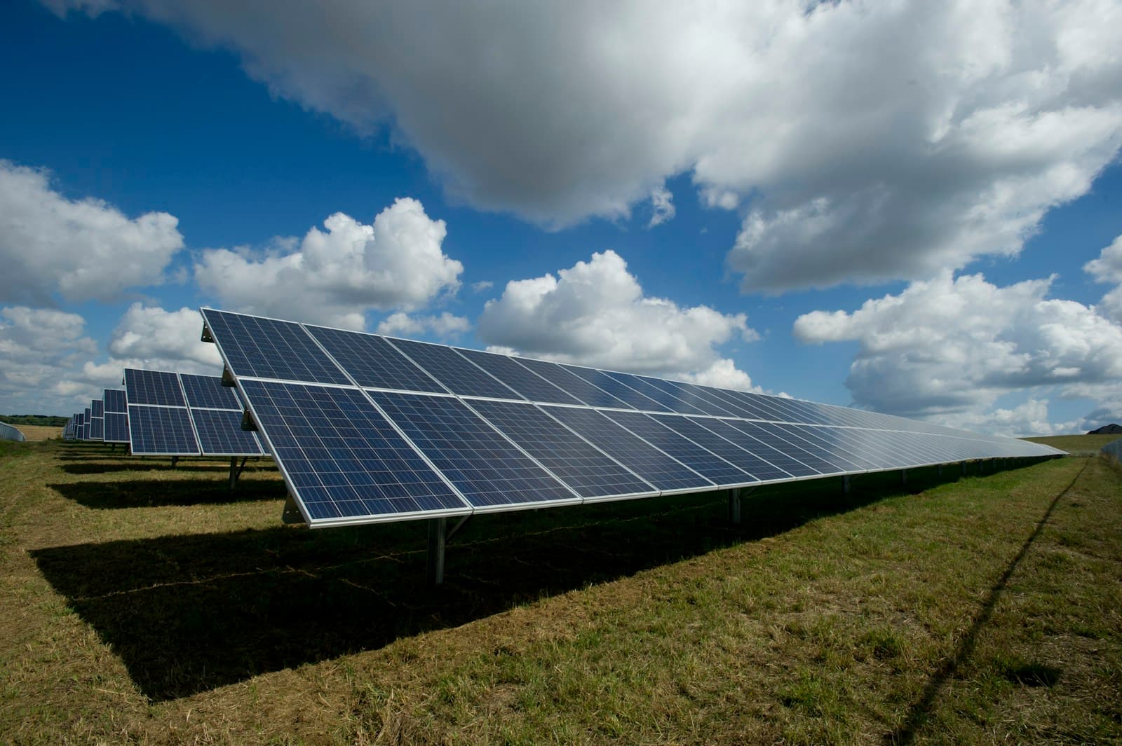 J. Lohr solar tracking array